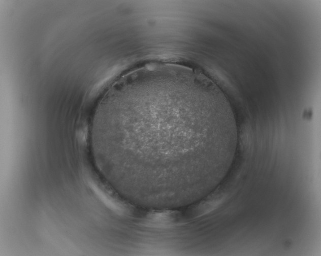 X0000112420072200908211155