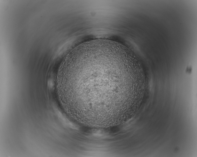 X0000112420074200908211155