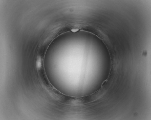 X0000112420075200908211155