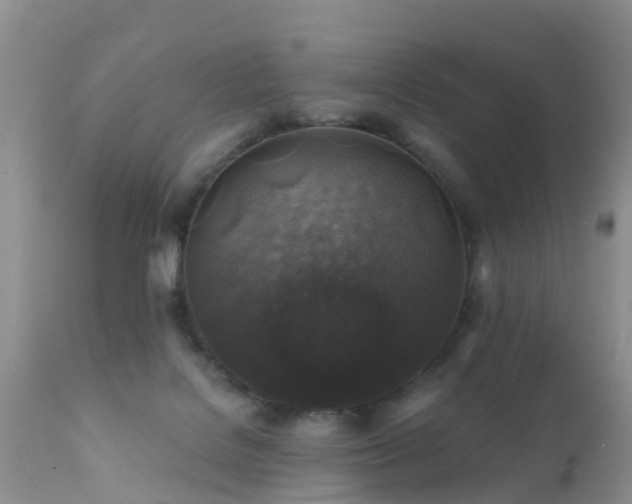 X0000112420076200908211155