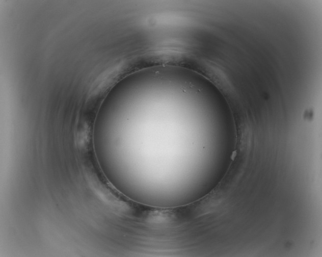 X0000112420077200908211155