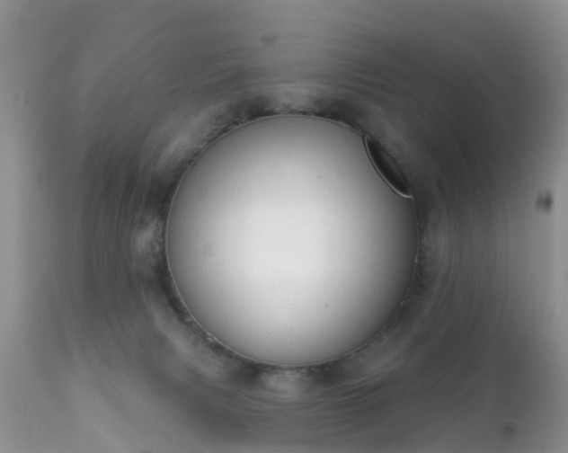 X0000112420079200908211155