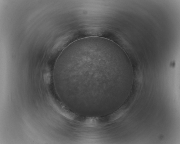 X0000112420080200908211155