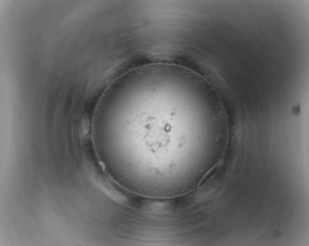 X0000112420081200908211156