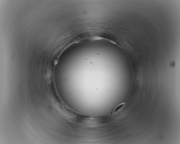 X0000112420082200908211156