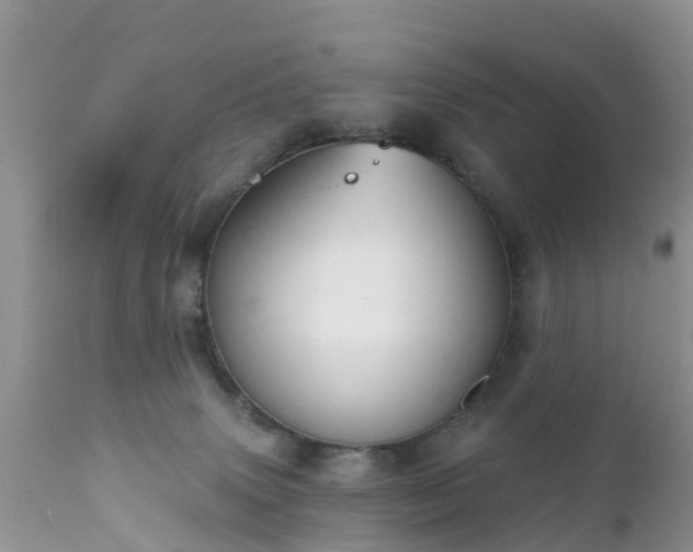 X0000112420083200908211156