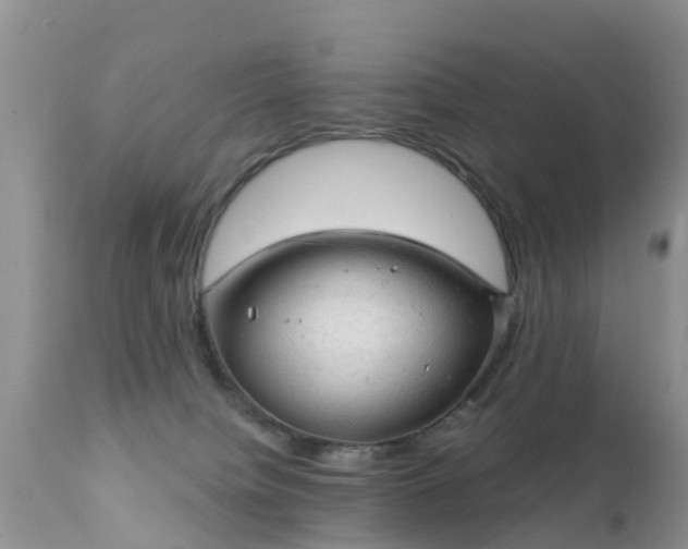 X0000112420084200908211156