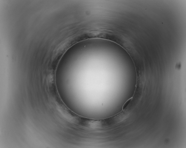 X0000112420085200908211156