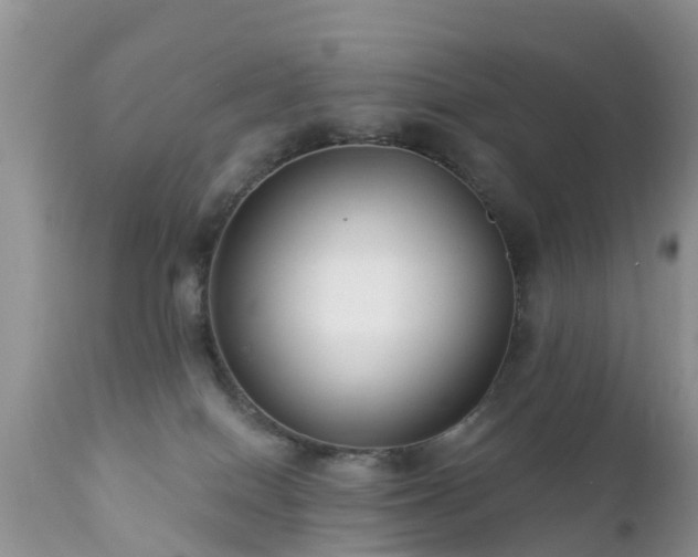 X0000112420086200908211156