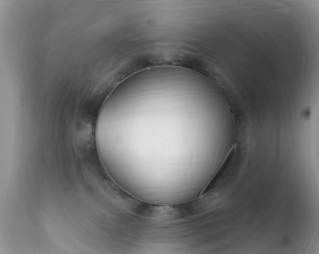 X0000112420087200908211156