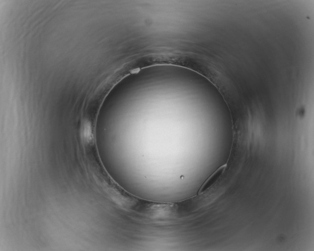 X0000112420089200908211156