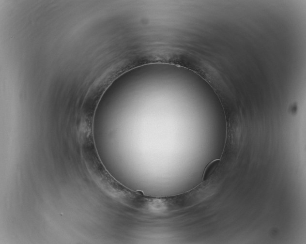 X0000112420091200908211156