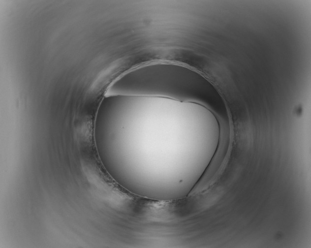 X0000112420092200908211156