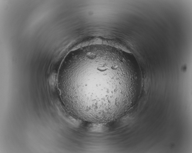 X0000112420093200908211156