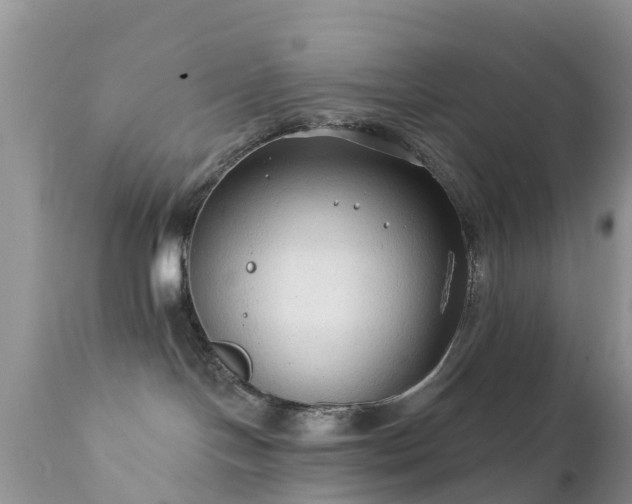 X0000112420094200908211156