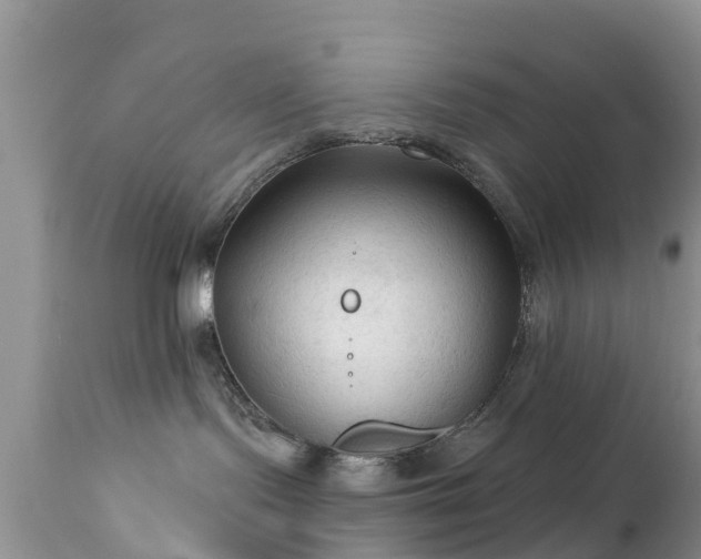 X0000112420095200908211156