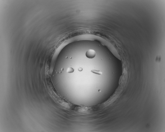 X0000112420096200908211156