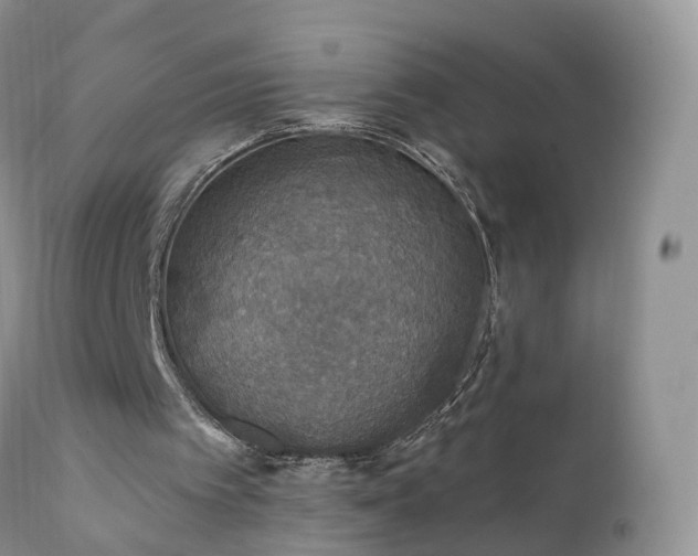 X0000112420097200908211155