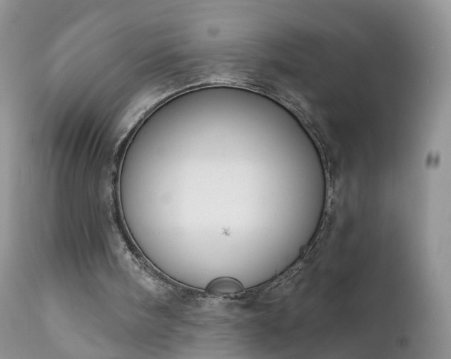 X0000112420098200908211155