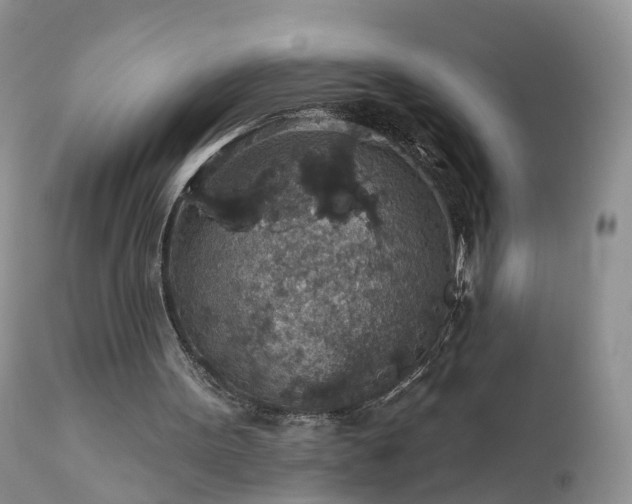 X0000112420099200908211155