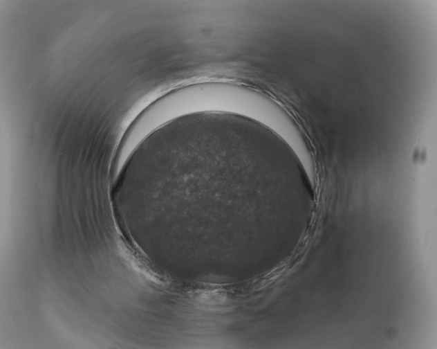 X0000112420100200908211155