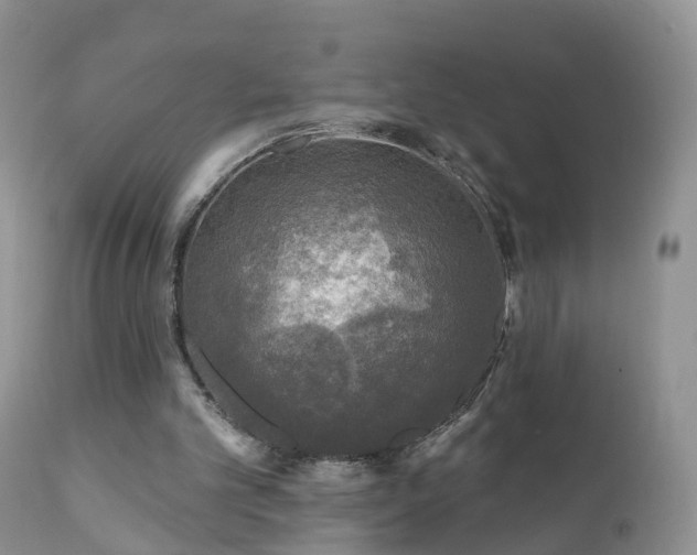 X0000112420101200908211155