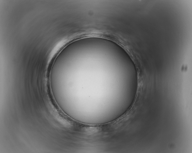 X0000112420102200908211155