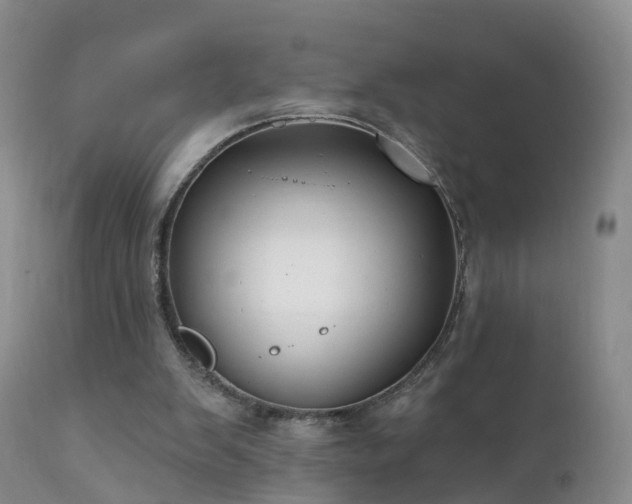 X0000112420103200908211155