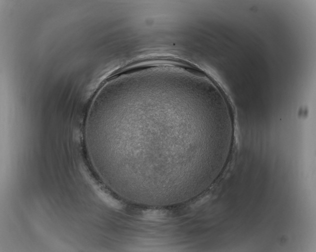 X0000112420105200908211155