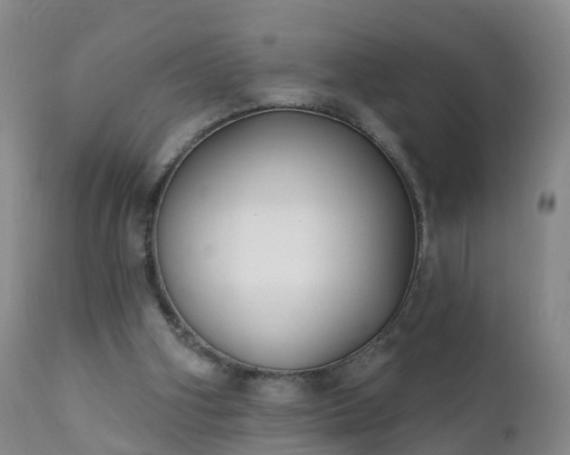 X0000112420106200908211155