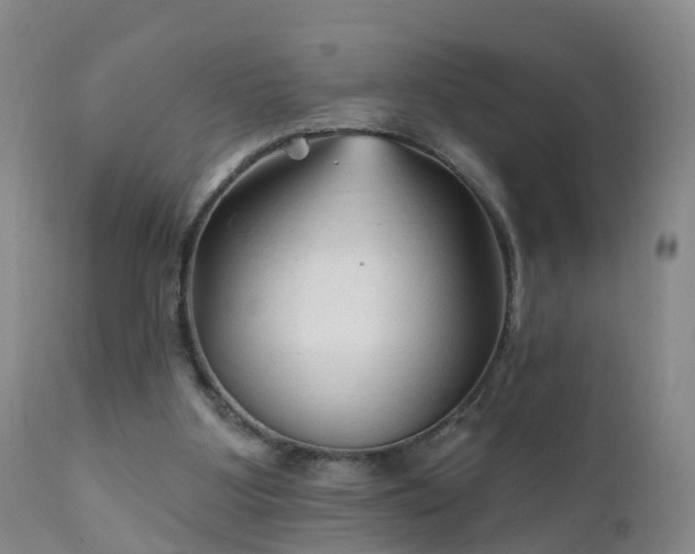 X0000112420107200908211155