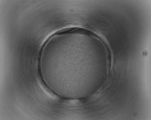 X0000112420108200908211155