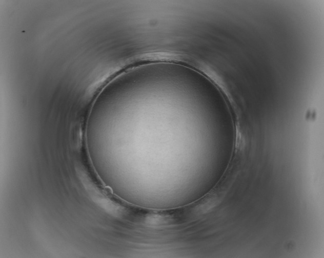 X0000112420109200908211155