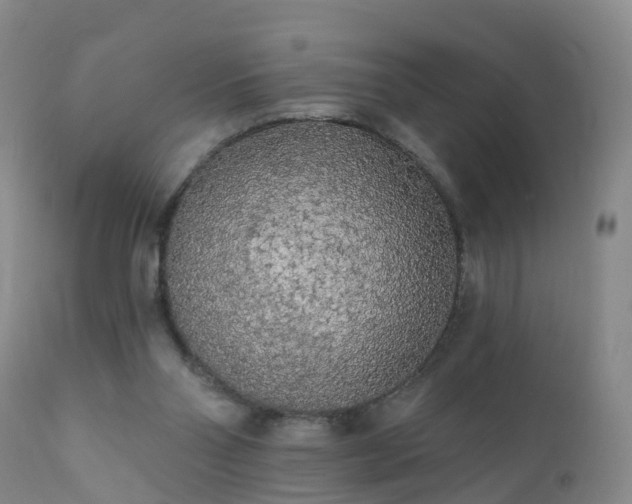 X0000112420110200908211155