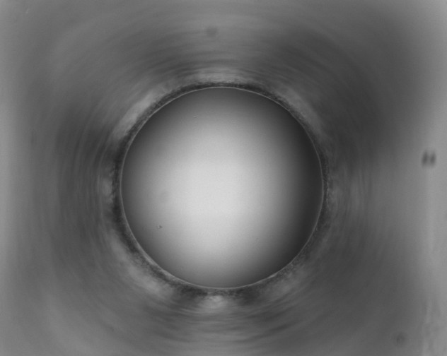 X0000112420111200908211155