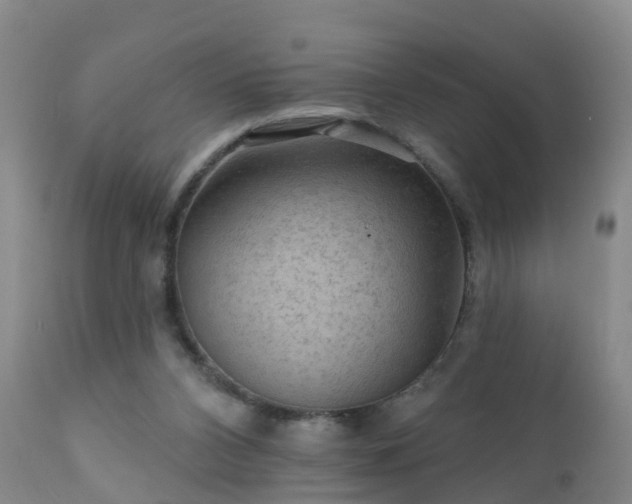 X0000112420112200908211155