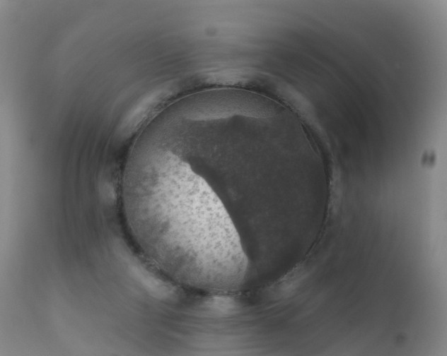 X0000112420114200908211155