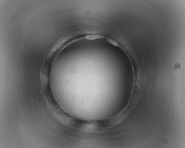 X0000112420116200908211155