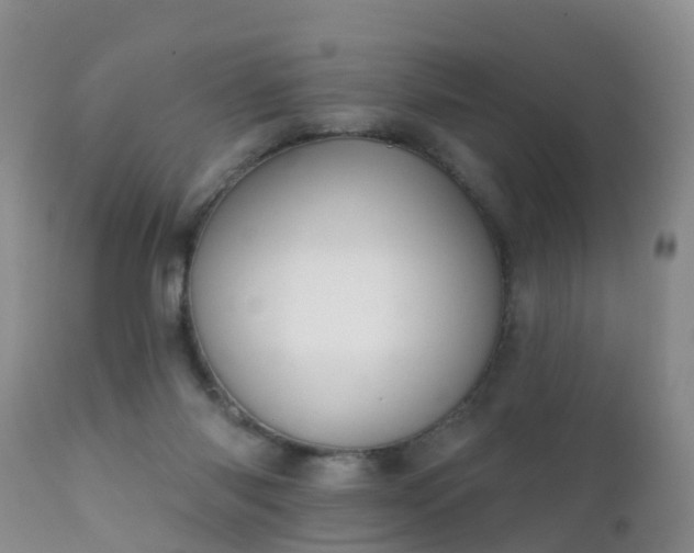 X0000112420118200908211155