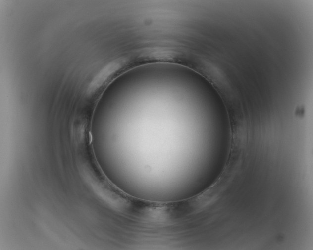 X0000112420120200908211155