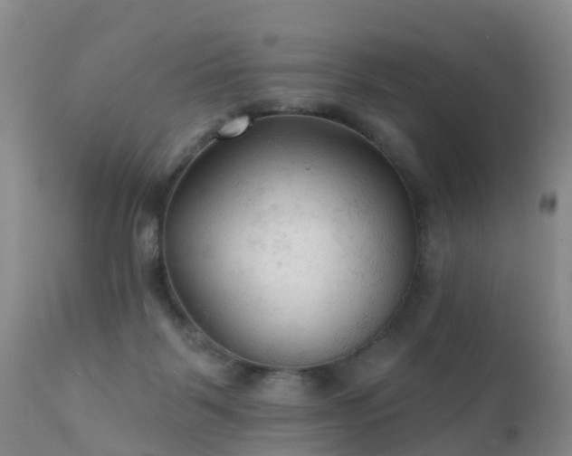 X0000112420123200908211155