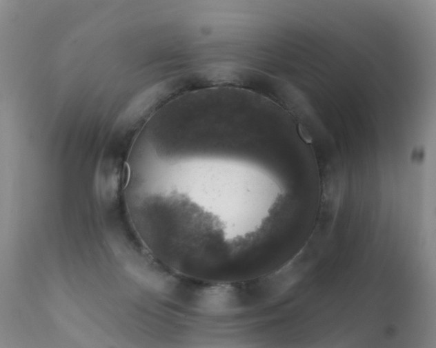 X0000112420124200908211155