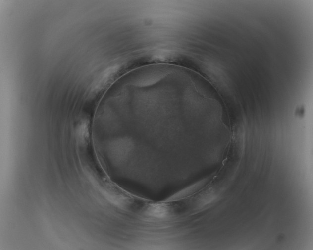 X0000112420127200908211154