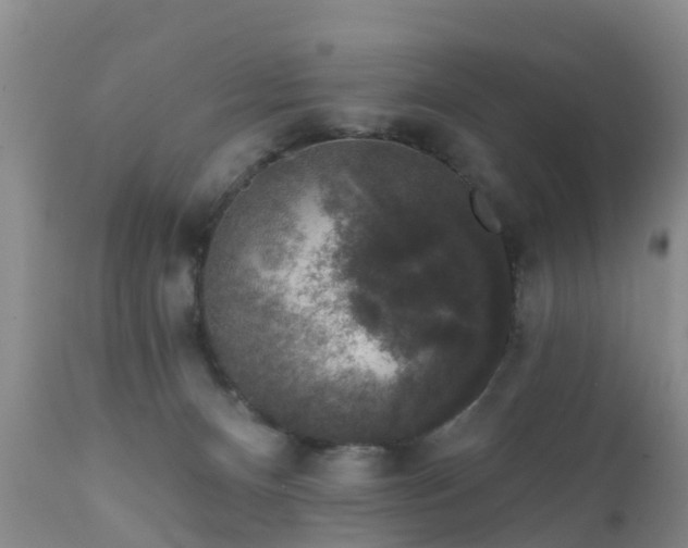 X0000112420128200908211154