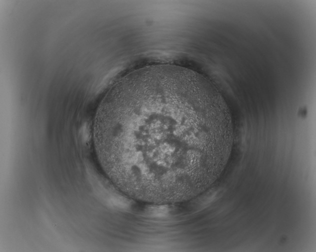 X0000112420131200908211154