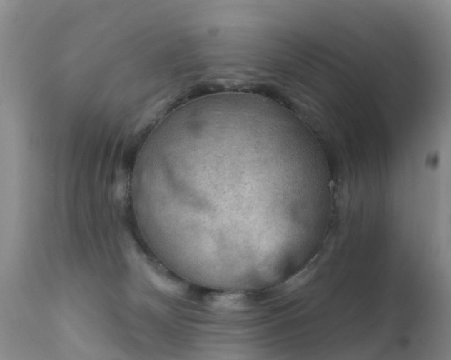 X0000112420132200908211154