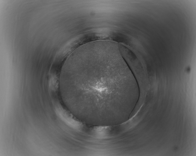 X0000112420136200908211154