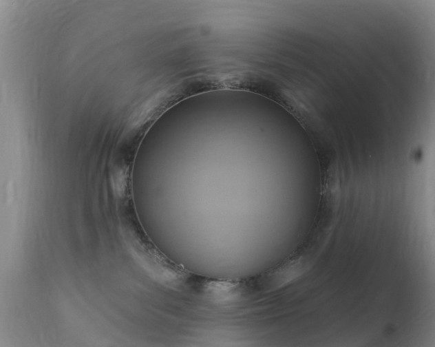 X0000112420139200908211154