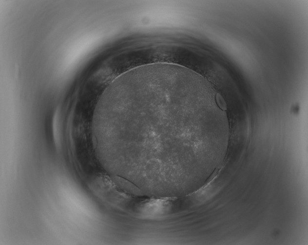 X0000112420140200908211154