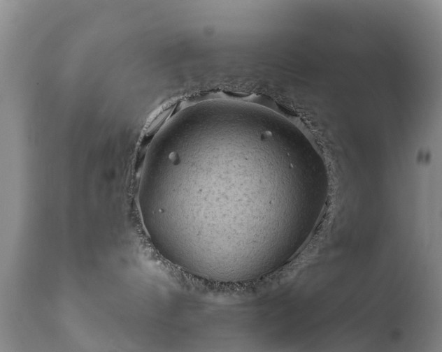 X0000112420144200908211154